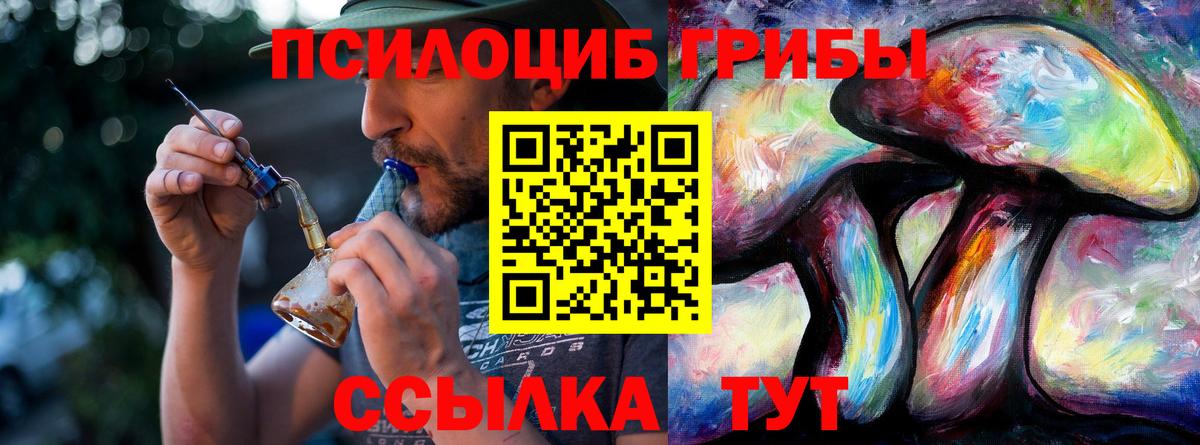 Красногорск  где можно купить наркотик  Вход с VPN  Псилоцибиновые грибы ЛСД 