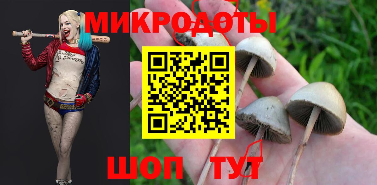 Галлюциногенные грибы Magic Shrooms Красногорск
